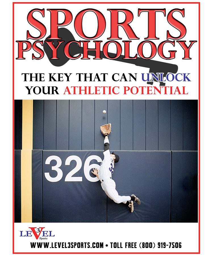 Level3PosterGymBaseball